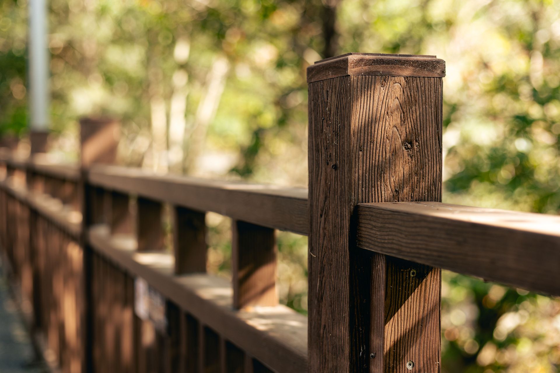 Close-up of a wooden railing in a sunlit forest, showcasing texture and natural beauty.